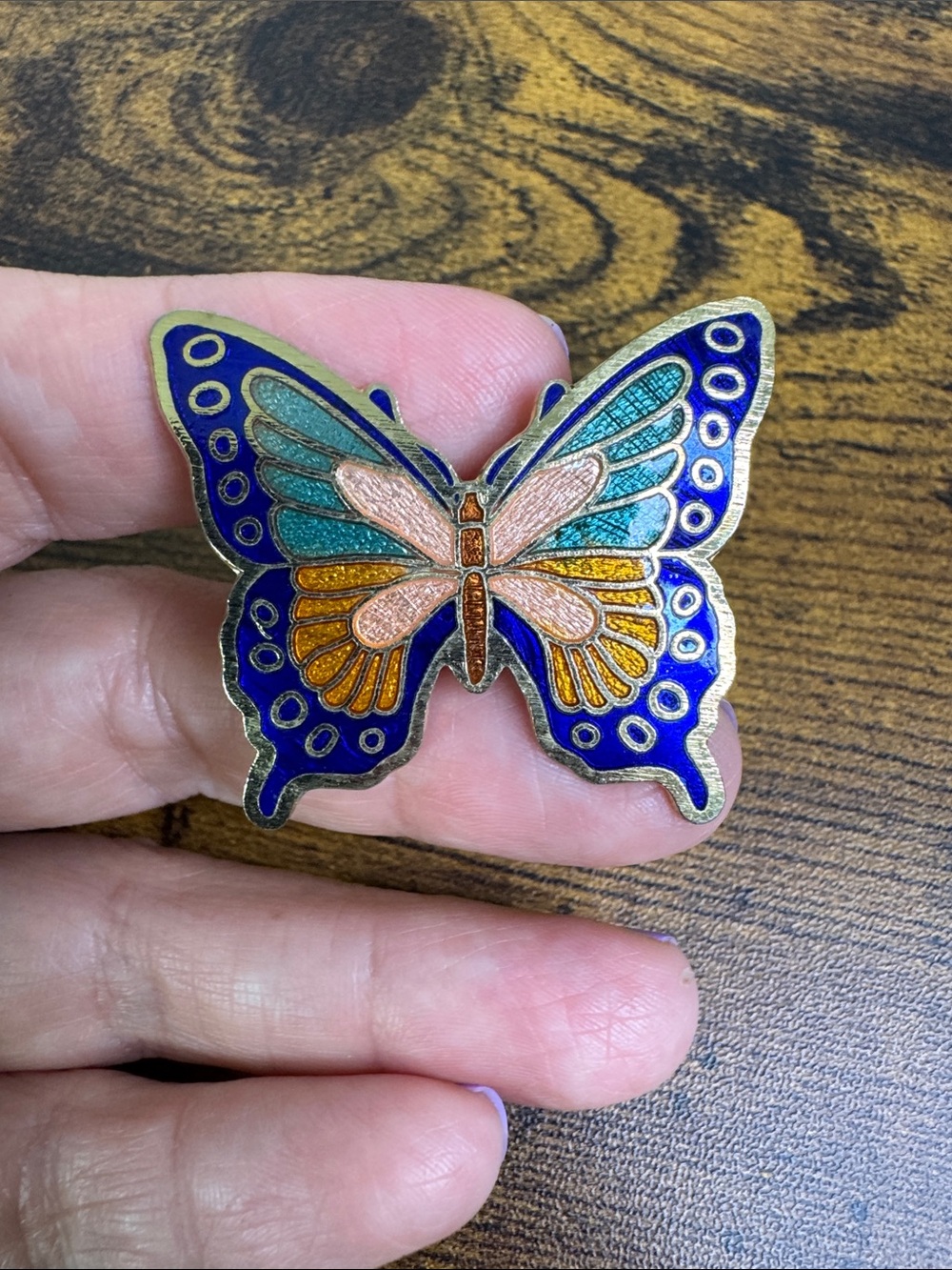 Vintage Cloisonné Enamel Butterfly Clip for Bolo Tie or Craft